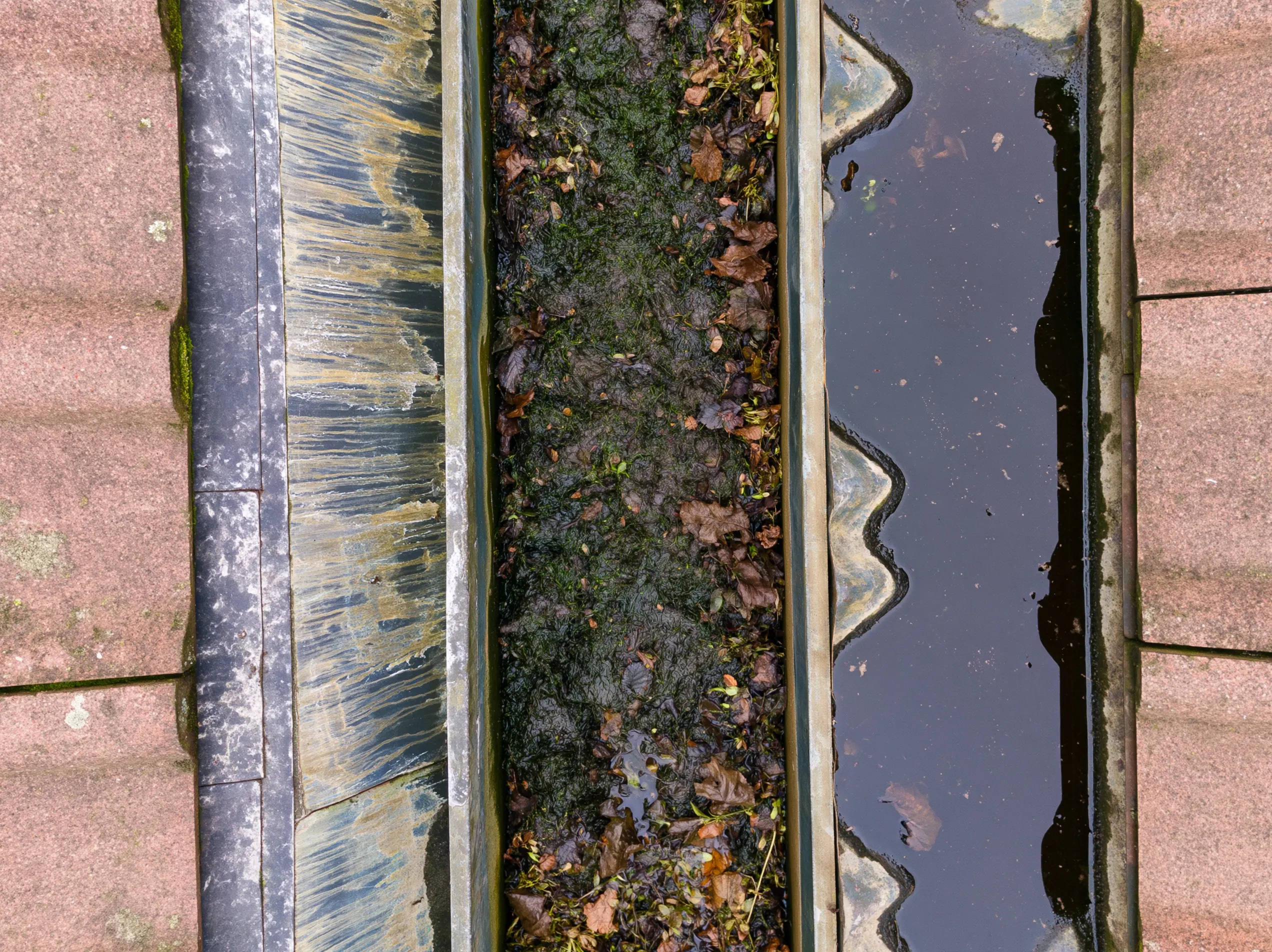 Gros plan aérien à la verticale d'un chéneau de zinc entre deux versants de tuiles, comblé de mousse et de feuilles mortes, avec de l'eau stagnante.