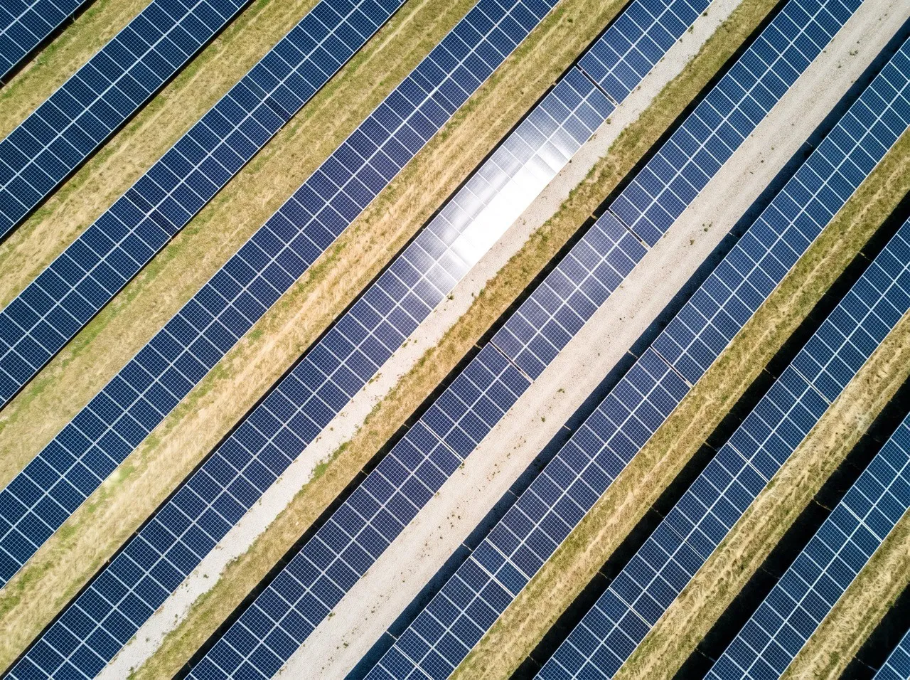 Rangées de panneaux photovoltaïques d'une centrale au sol, vues d'en haut.